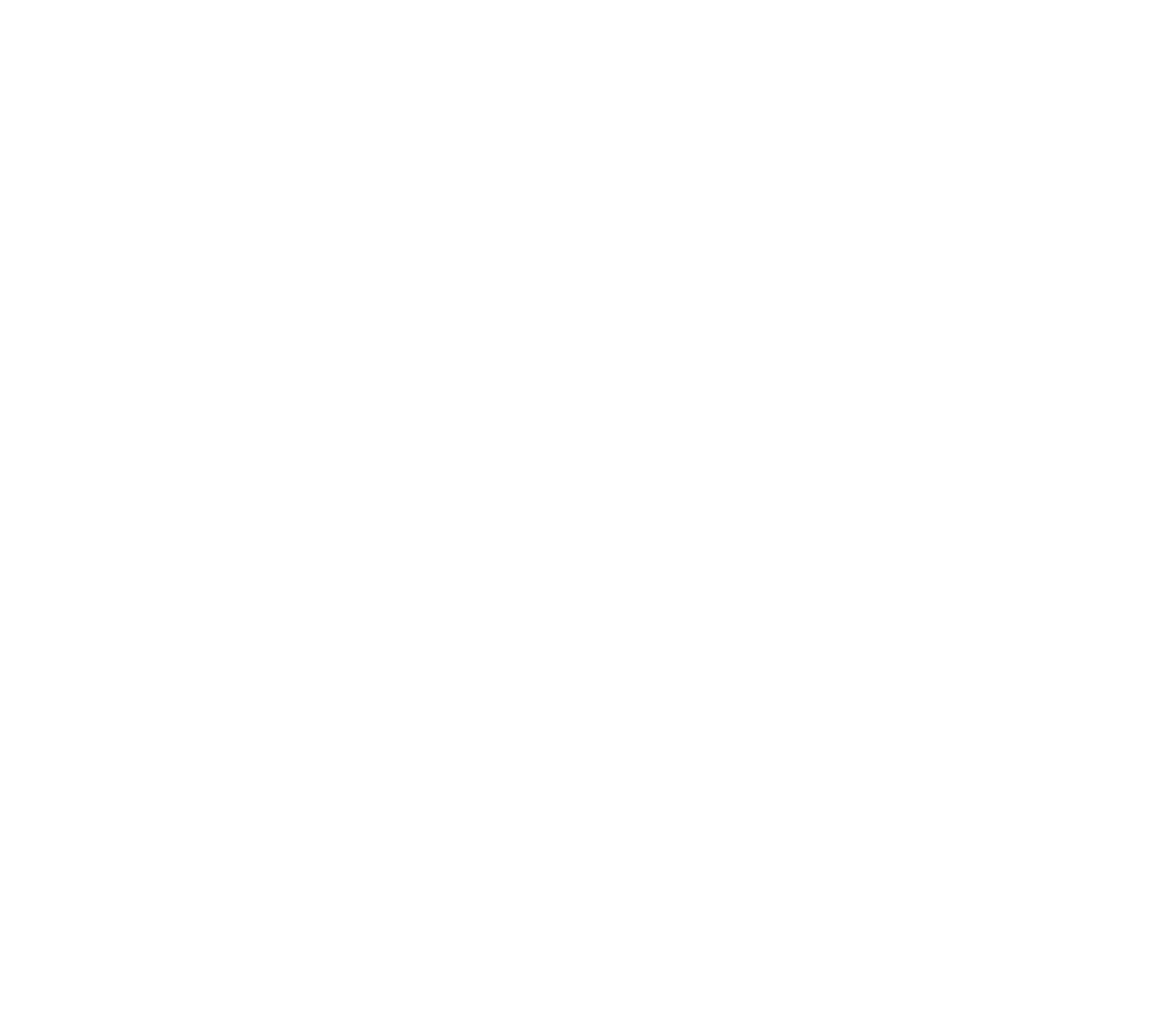 Lantern Light Show